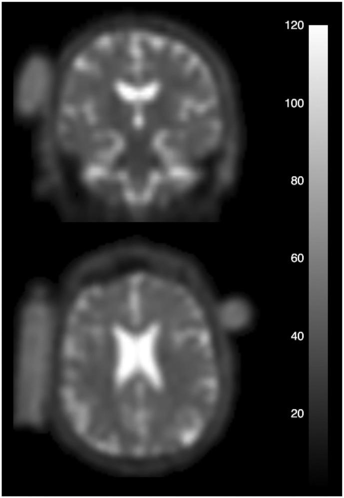 https://cdn.ncbi.nlm.nih.gov/pmc/blobs/f5ce/11753670/125dc6cfd77c/pone.0316916.g001.jpg