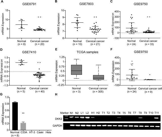 https://cdn.ncbi.nlm.nih.gov/pmc/blobs/f5cf/10321177/7440aed93c9b/j_abm-2022-0022_fig_001.jpg
