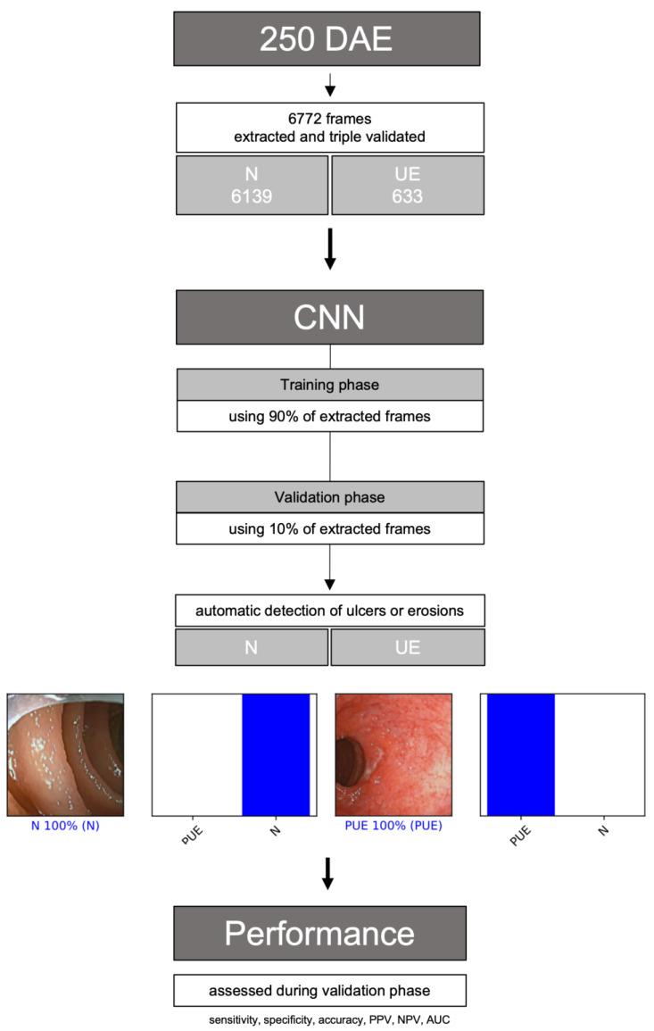 https://cdn.ncbi.nlm.nih.gov/pmc/blobs/f5d1/9865285/2346593ea625/medicina-59-00172-g001.jpg