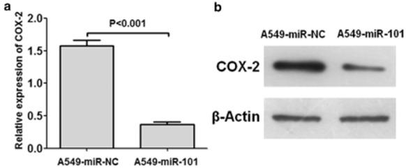 https://cdn.ncbi.nlm.nih.gov/pmc/blobs/f5d2/4632932/0b4118f7a752/tca0006-0778-f4.jpg