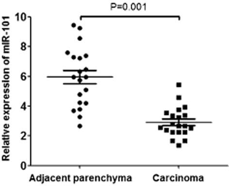https://cdn.ncbi.nlm.nih.gov/pmc/blobs/f5d2/4632932/aac621e5fa0d/tca0006-0778-f1.jpg