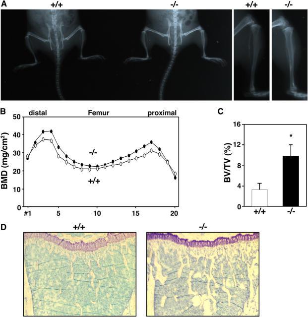 https://cdn.ncbi.nlm.nih.gov/pmc/blobs/f5d3/2213087/d765642d2d41/20050645f3.jpg