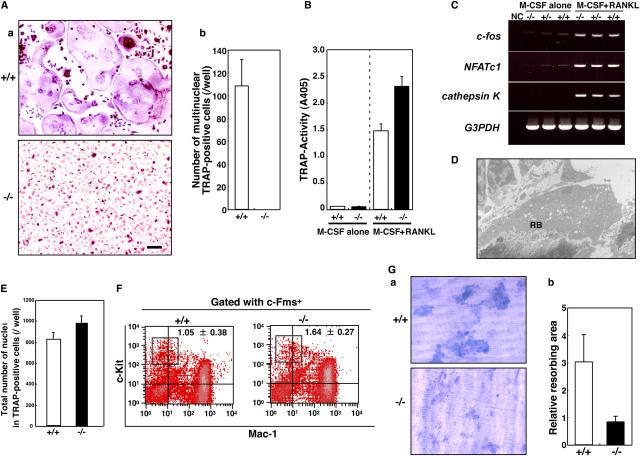 https://cdn.ncbi.nlm.nih.gov/pmc/blobs/f5d3/2213087/e2108064eab5/20050645f2.jpg