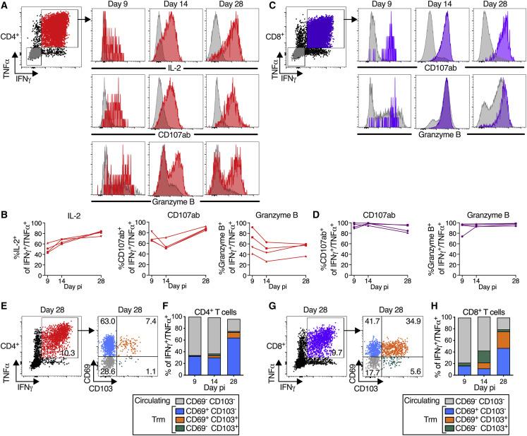 https://cdn.ncbi.nlm.nih.gov/pmc/blobs/f5d5/9684001/235496c2eb92/gr5_lrg.jpg