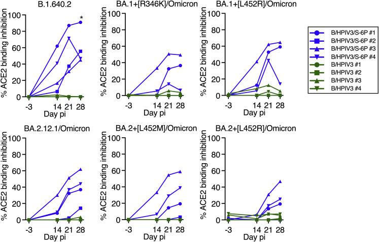 https://cdn.ncbi.nlm.nih.gov/pmc/blobs/f5d5/9684001/41c2d0c43caf/figs2_lrg.jpg