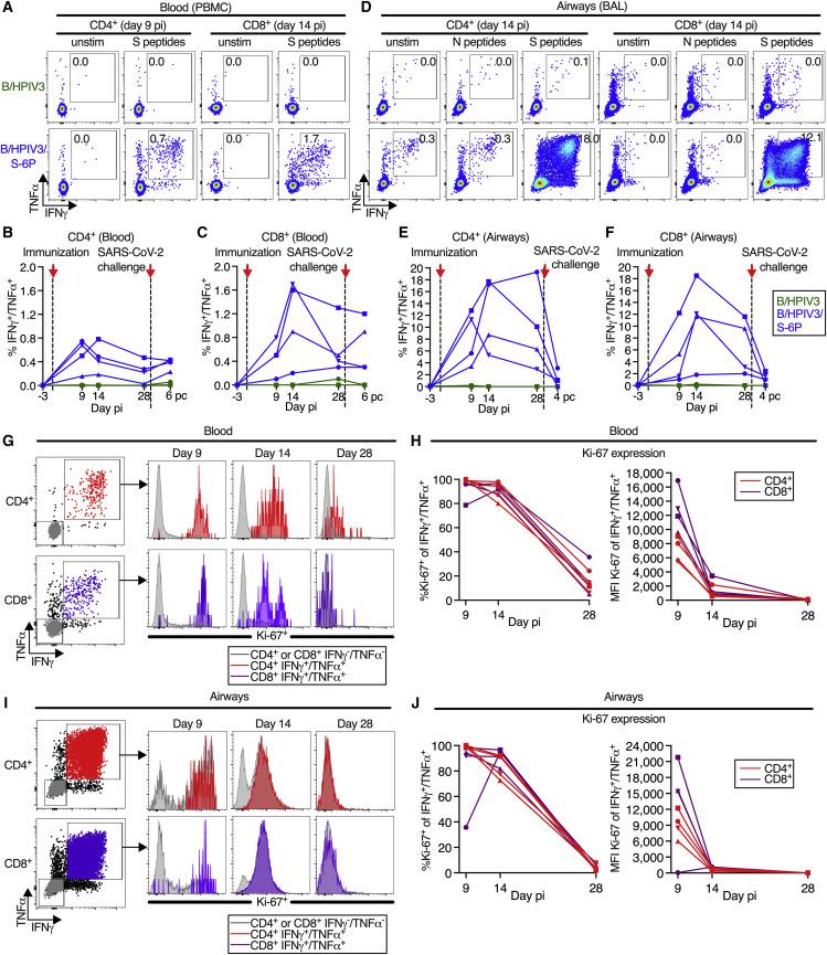 https://cdn.ncbi.nlm.nih.gov/pmc/blobs/f5d5/9684001/59ff0499399f/gr4_lrg.jpg