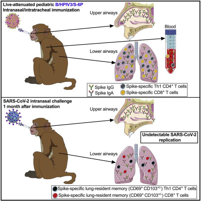 https://cdn.ncbi.nlm.nih.gov/pmc/blobs/f5d5/9684001/684b61675412/fx1_lrg.jpg
