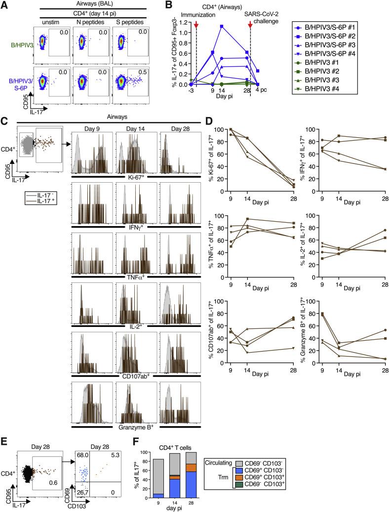 https://cdn.ncbi.nlm.nih.gov/pmc/blobs/f5d5/9684001/929220e521be/figs4_lrg.jpg