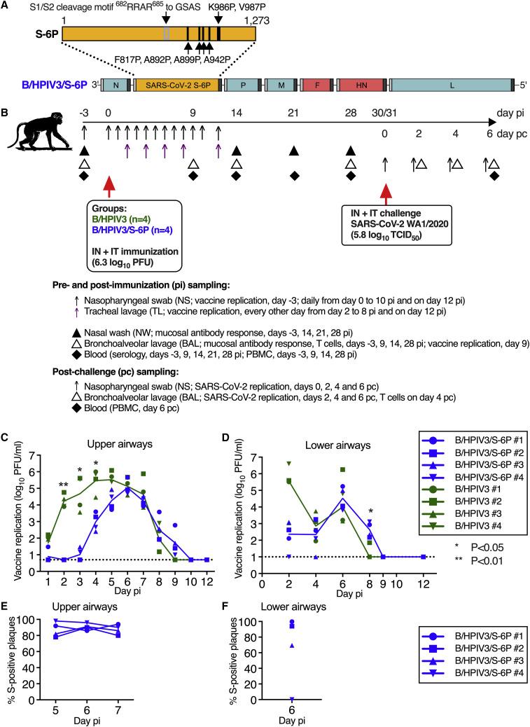 https://cdn.ncbi.nlm.nih.gov/pmc/blobs/f5d5/9684001/9c2ebc6d24e8/gr1_lrg.jpg
