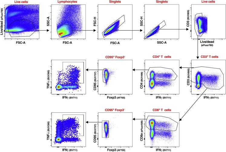 https://cdn.ncbi.nlm.nih.gov/pmc/blobs/f5d5/9684001/f8b2a57e1ca4/figs3_lrg.jpg