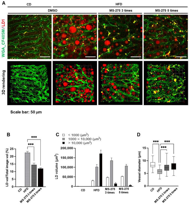 https://cdn.ncbi.nlm.nih.gov/pmc/blobs/f5d6/9456374/40c12bc51c28/ijms-23-09978-g003.jpg