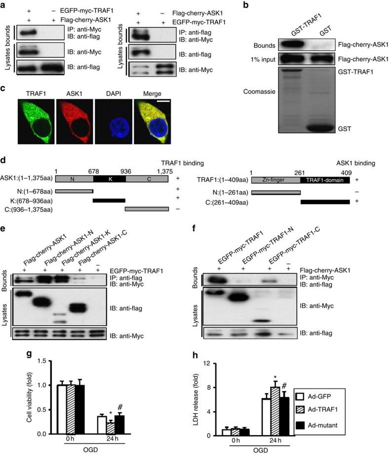 https://cdn.ncbi.nlm.nih.gov/pmc/blobs/f5d9/3868160/0496617891bc/ncomms3852-f6.jpg