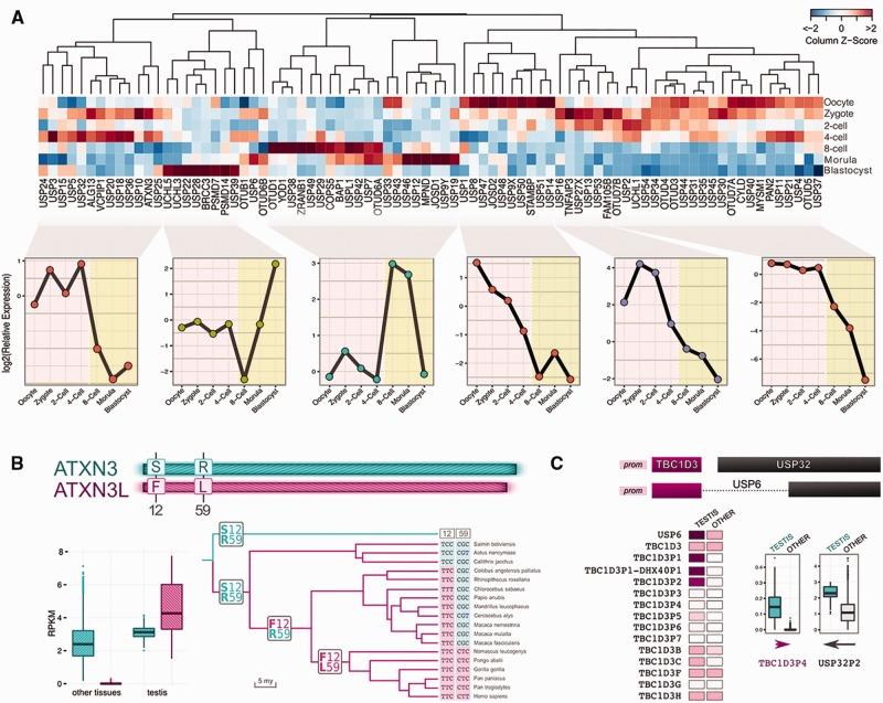 https://cdn.ncbi.nlm.nih.gov/pmc/blobs/f5d9/5381560/a639bd19c947/evx020f3p.jpg
