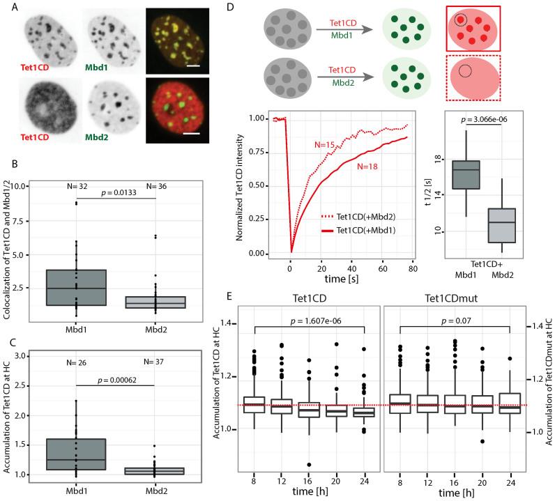 https://cdn.ncbi.nlm.nih.gov/pmc/blobs/f5d9/5499542/00fb01895ff5/gkx281fig2.jpg