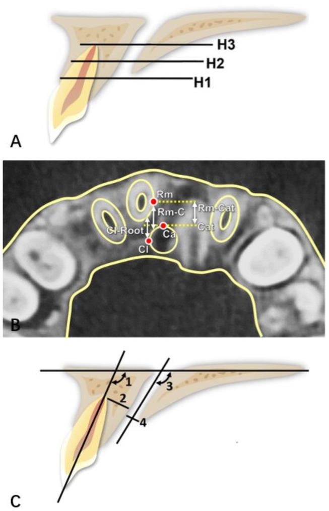 https://cdn.ncbi.nlm.nih.gov/pmc/blobs/f5db/12008931/0b2b2c8fb59b/12903_2025_5899_Fig2_HTML.jpg