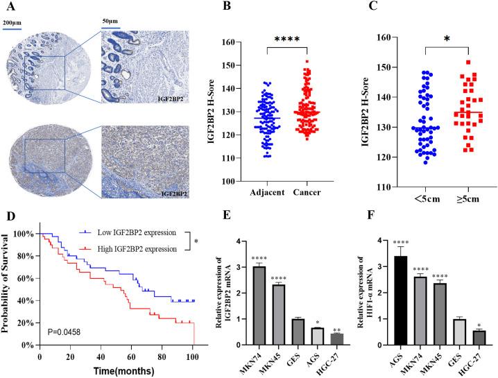 https://cdn.ncbi.nlm.nih.gov/pmc/blobs/f5db/12134386/875f587cceba/fonc-15-1512177-g001.jpg