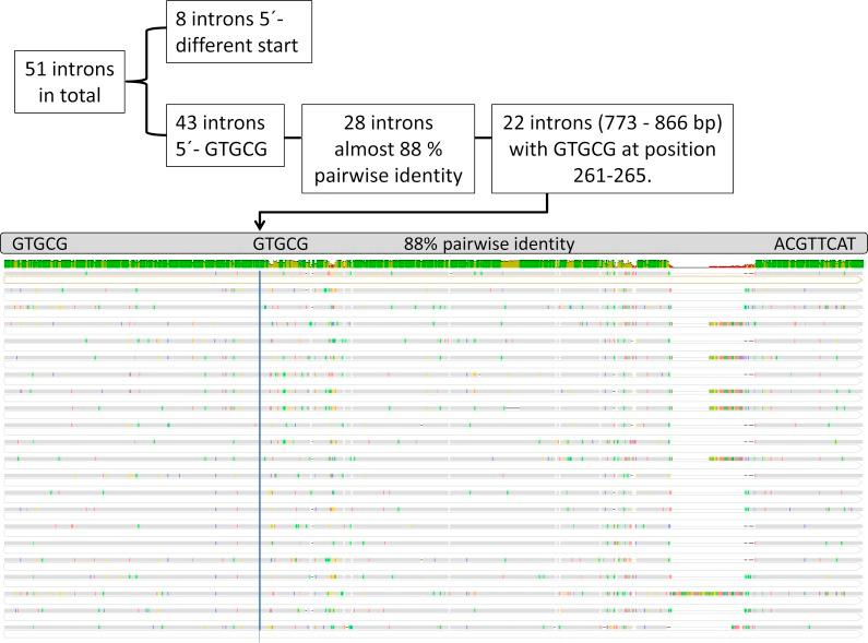 https://cdn.ncbi.nlm.nih.gov/pmc/blobs/f5dc/5572947/c69e88b7ef60/peerj-05-3725-g003.jpg