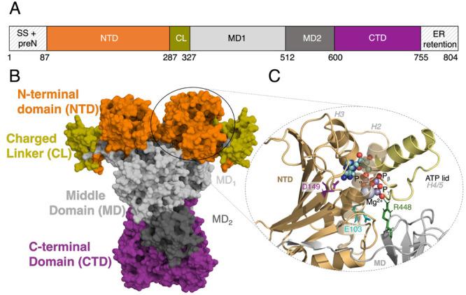 https://cdn.ncbi.nlm.nih.gov/pmc/blobs/f5de/10292203/c47af8f3113d/jp3c00260_0001.jpg