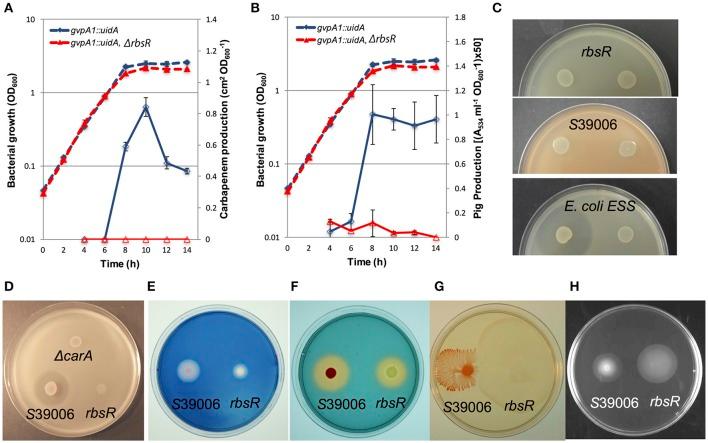 https://cdn.ncbi.nlm.nih.gov/pmc/blobs/f5de/5601083/04fcbda73c8e/fmicb-08-01678-g0003.jpg