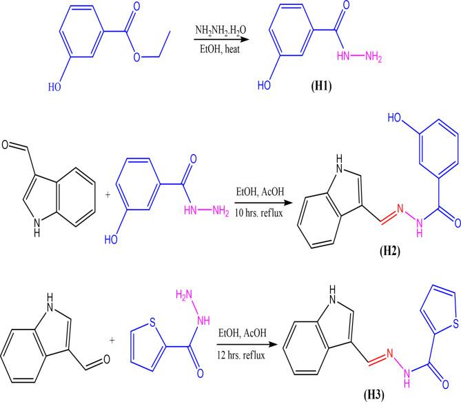 https://cdn.ncbi.nlm.nih.gov/pmc/blobs/f5e0/11612229/1cdb613779d7/41598_2024_81555_Fig1_HTML.jpg