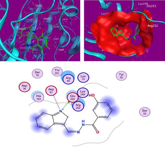 https://cdn.ncbi.nlm.nih.gov/pmc/blobs/f5e0/11612229/84b0255ab6a5/41598_2024_81555_Fig6_HTML.jpg