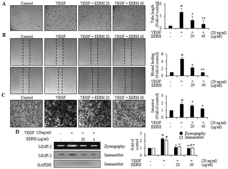 https://cdn.ncbi.nlm.nih.gov/pmc/blobs/f5e0/9421223/4772bcd50911/10.1177_15347354221114337-fig8.jpg