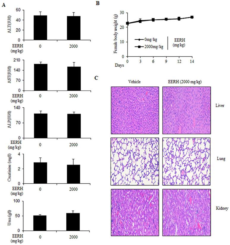 https://cdn.ncbi.nlm.nih.gov/pmc/blobs/f5e0/9421223/5bc8fcebb425/10.1177_15347354221114337-fig6.jpg