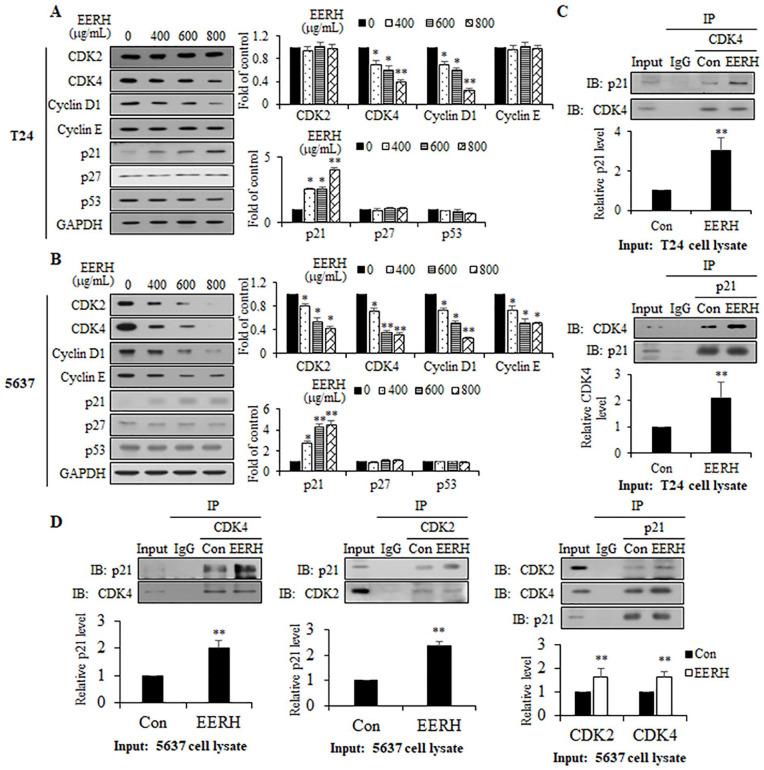 https://cdn.ncbi.nlm.nih.gov/pmc/blobs/f5e0/9421223/aba87e137d67/10.1177_15347354221114337-fig2.jpg