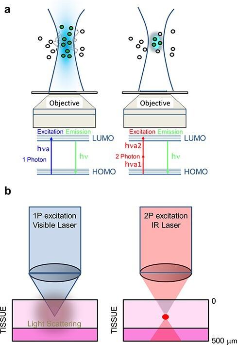 https://cdn.ncbi.nlm.nih.gov/pmc/blobs/f5e4/10332454/21d19acc4348/dfad014f4.jpg