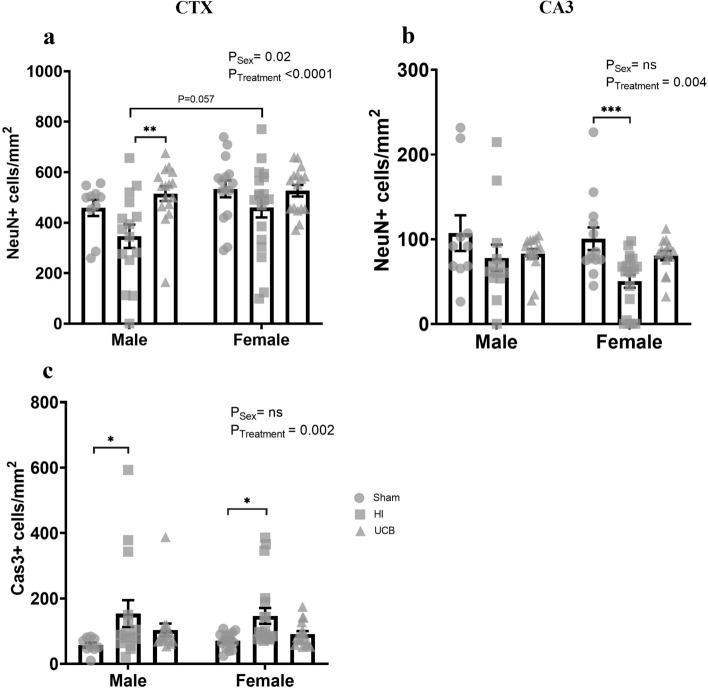 https://cdn.ncbi.nlm.nih.gov/pmc/blobs/f5e4/8338979/589d3cd6a9d2/41598_2021_95035_Fig6_HTML.jpg