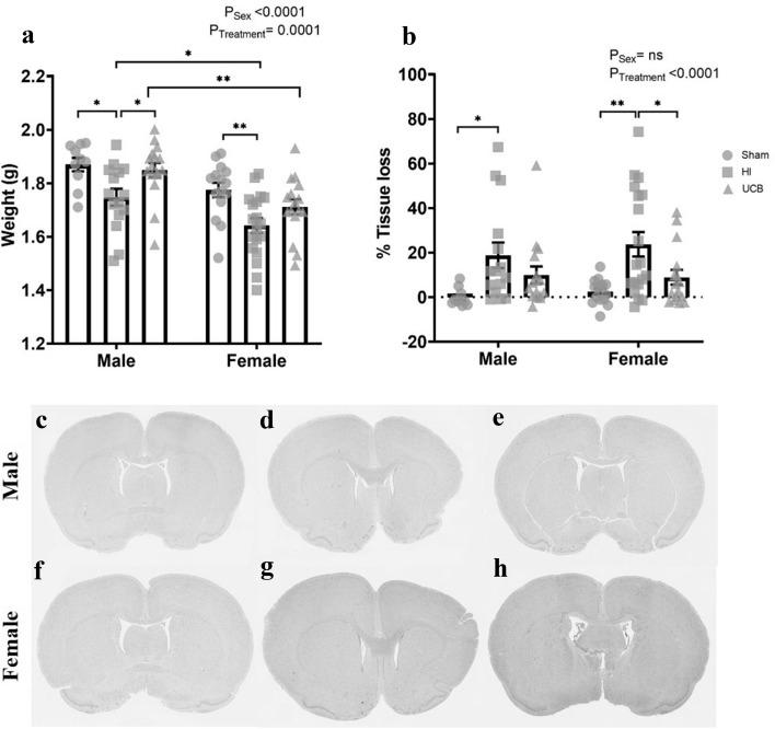 https://cdn.ncbi.nlm.nih.gov/pmc/blobs/f5e4/8338979/b5b30651b5f5/41598_2021_95035_Fig5_HTML.jpg