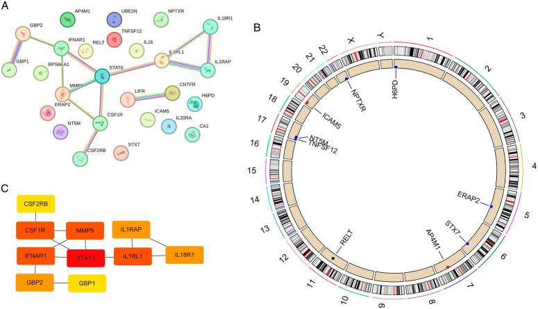 https://cdn.ncbi.nlm.nih.gov/pmc/blobs/f5e5/11745758/a5a3a1a6cc32/js9-111-0346-g005.jpg