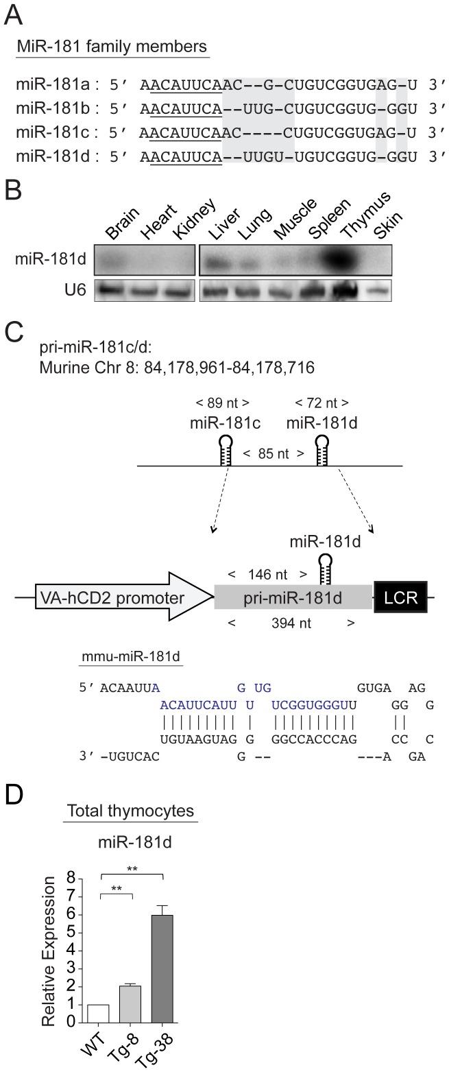 https://cdn.ncbi.nlm.nih.gov/pmc/blobs/f5e5/3887031/178330b42ab0/pone.0085274.g001.jpg