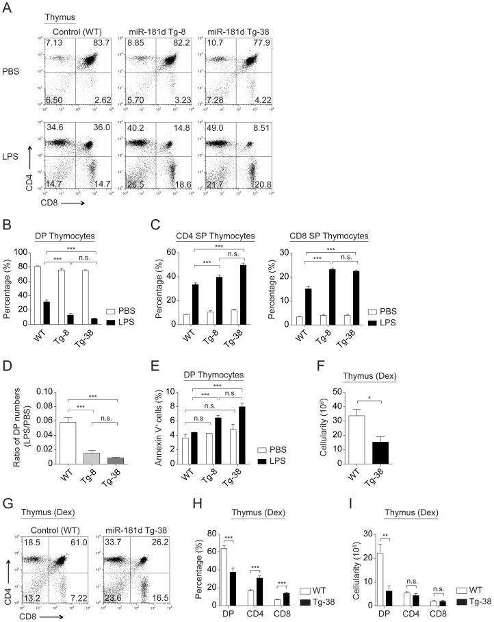 https://cdn.ncbi.nlm.nih.gov/pmc/blobs/f5e5/3887031/eb90daf1bdd9/pone.0085274.g004.jpg