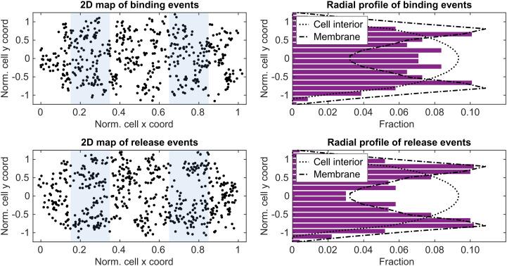 https://cdn.ncbi.nlm.nih.gov/pmc/blobs/f5e6/9499511/067cb1dd2fb7/pnas.2204038119fig04.jpg