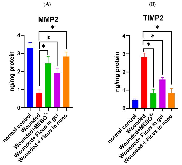 https://cdn.ncbi.nlm.nih.gov/pmc/blobs/f5e8/11817089/3e9376d1f407/ijms-26-00928-g007.jpg
