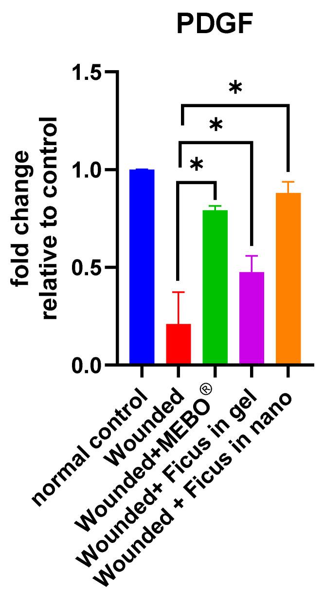 https://cdn.ncbi.nlm.nih.gov/pmc/blobs/f5e8/11817089/b2105cb78c35/ijms-26-00928-g006.jpg