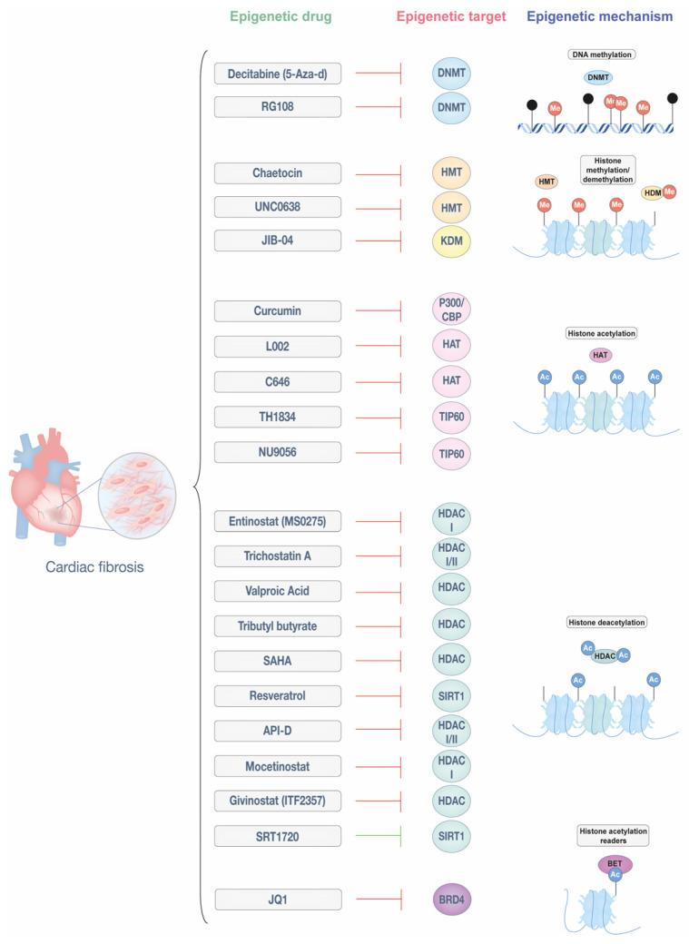 https://cdn.ncbi.nlm.nih.gov/pmc/blobs/f5e8/12109272/2fdbc1f64b7c/biomedicines-13-01170-g002.jpg