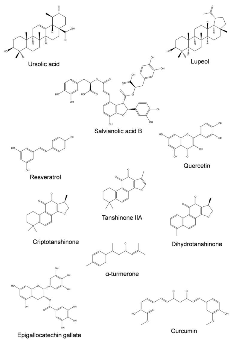 https://cdn.ncbi.nlm.nih.gov/pmc/blobs/f5ea/10123636/cf2851ba0d2a/jox-13-00014-g003.jpg