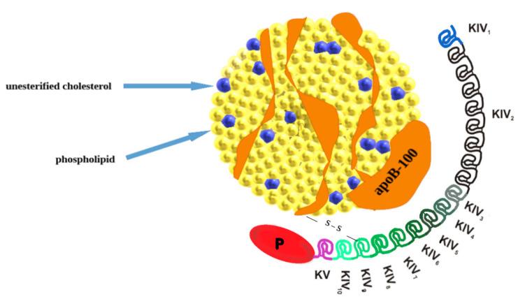 https://cdn.ncbi.nlm.nih.gov/pmc/blobs/f5f0/10605347/e400970e3990/cells-12-02472-g001.jpg