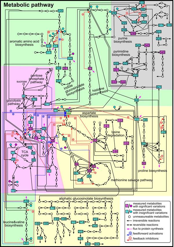 https://cdn.ncbi.nlm.nih.gov/pmc/blobs/f5f0/4305983/ae6ca2cca246/1752-0509-8-S5-S4-4.jpg