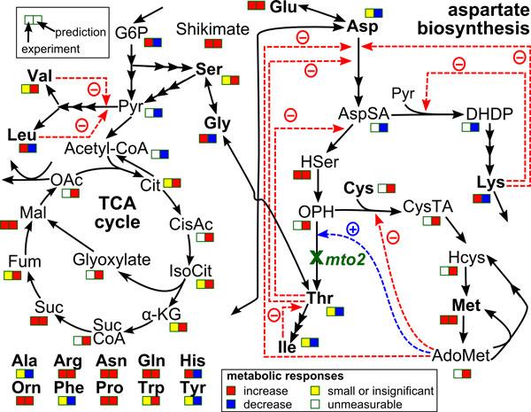 https://cdn.ncbi.nlm.nih.gov/pmc/blobs/f5f0/4305983/df8917761bbf/1752-0509-8-S5-S4-8.jpg