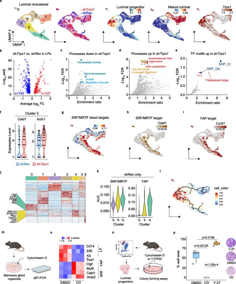 https://cdn.ncbi.nlm.nih.gov/pmc/blobs/f5f1/11067134/73a863aaaa7c/13058_2024_1824_Fig5_HTML.jpg