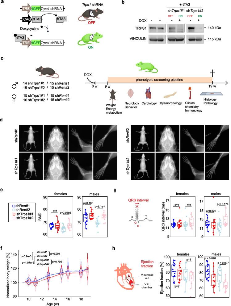 https://cdn.ncbi.nlm.nih.gov/pmc/blobs/f5f1/11067134/de4487e06879/13058_2024_1824_Fig1_HTML.jpg