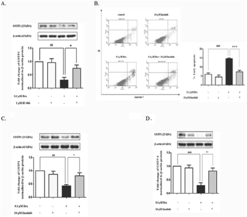 https://cdn.ncbi.nlm.nih.gov/pmc/blobs/f5f2/11291718/832ed06f00f1/41598_2024_68429_Fig1_HTML.jpg