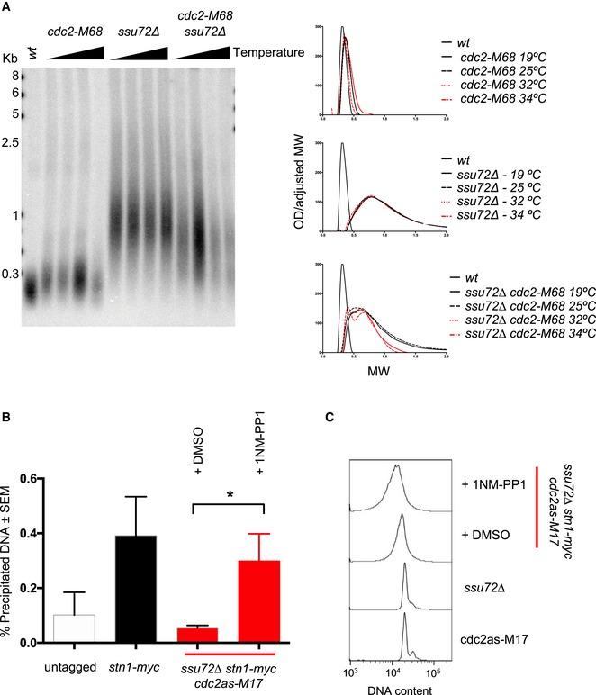 https://cdn.ncbi.nlm.nih.gov/pmc/blobs/f5f2/6443209/ae546d660d1a/EMBJ-38-e100476-g007.jpg