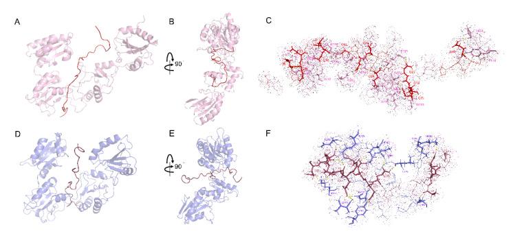 https://cdn.ncbi.nlm.nih.gov/pmc/blobs/f5f2/7583805/12775978a4c9/molecules-25-04393-g006.jpg