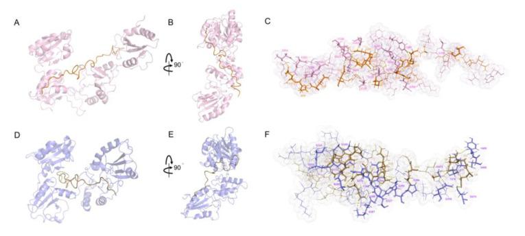 https://cdn.ncbi.nlm.nih.gov/pmc/blobs/f5f2/7583805/e616bbd28831/molecules-25-04393-g005.jpg