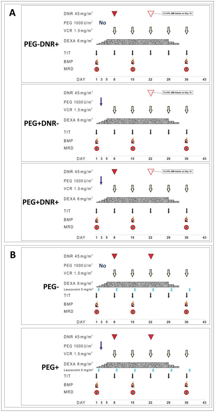 https://cdn.ncbi.nlm.nih.gov/pmc/blobs/f5f3/10705323/36eed3a967bc/cancers-15-05547-g001.jpg