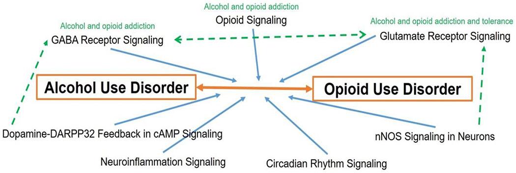 https://cdn.ncbi.nlm.nih.gov/pmc/blobs/f5f4/7241514/752c622a8137/nihms-1566840-f0004.jpg